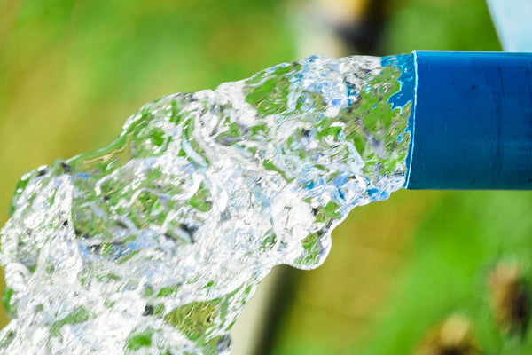 Bisupply Deionized Water 1 Gallon Bottle Demineralized Water for sale  online